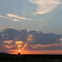 /album/galerie-de-photos-galerie-photos/frida-dumont-img-9764-jpg/